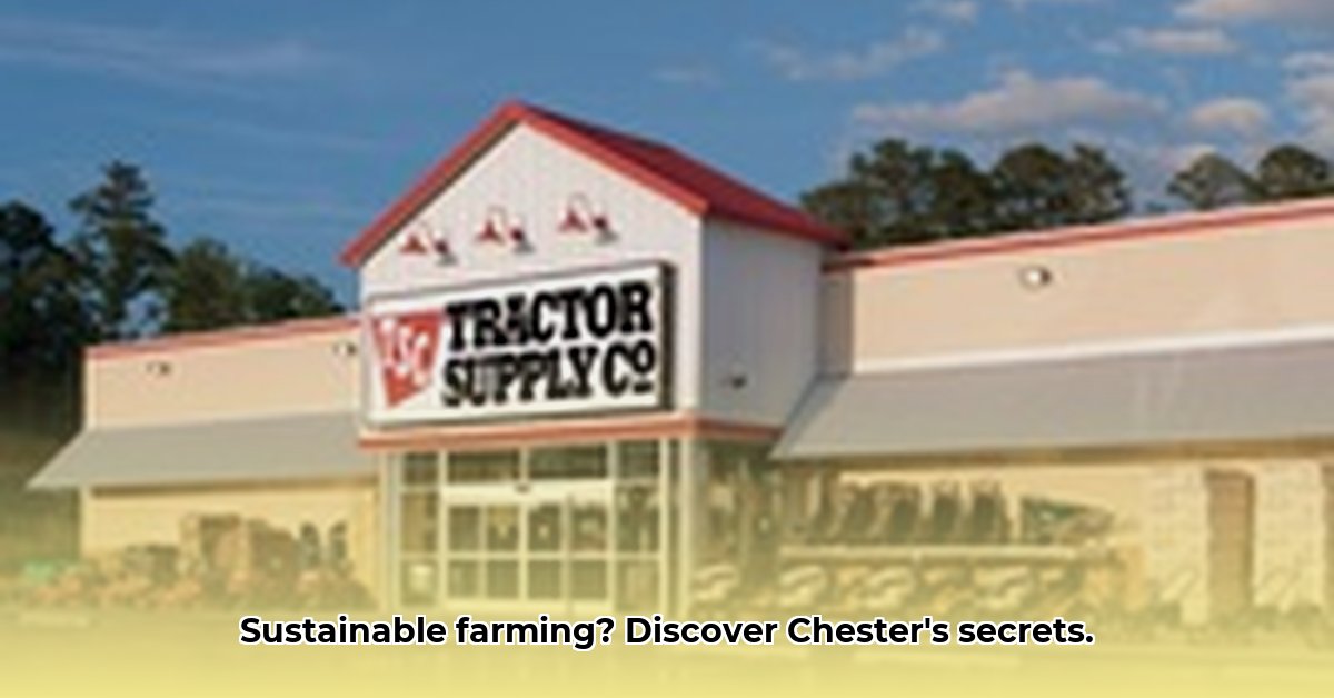 tractor-supply-chester-virginia